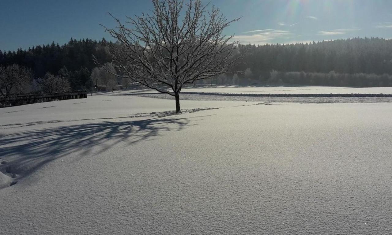 Chata Rozany Šluknov Buitenkant foto